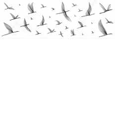 EG2U051DT white bird insert Декор elegance meissen